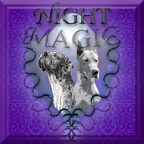 Night Magic Danes: Unleashing Their Inner Spirits under the Moon